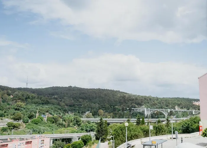 Meia Laranja - Nº 236 2ºd