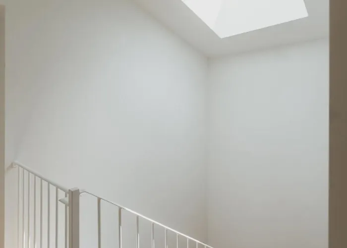 Meia Laranja - Nº 236 2ºd *