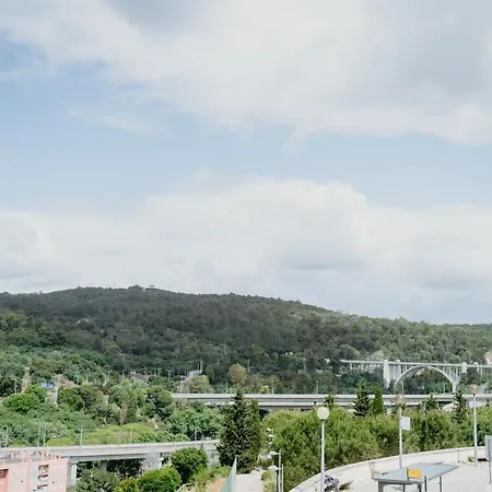 Meia Laranja - Nº 236 2ºd